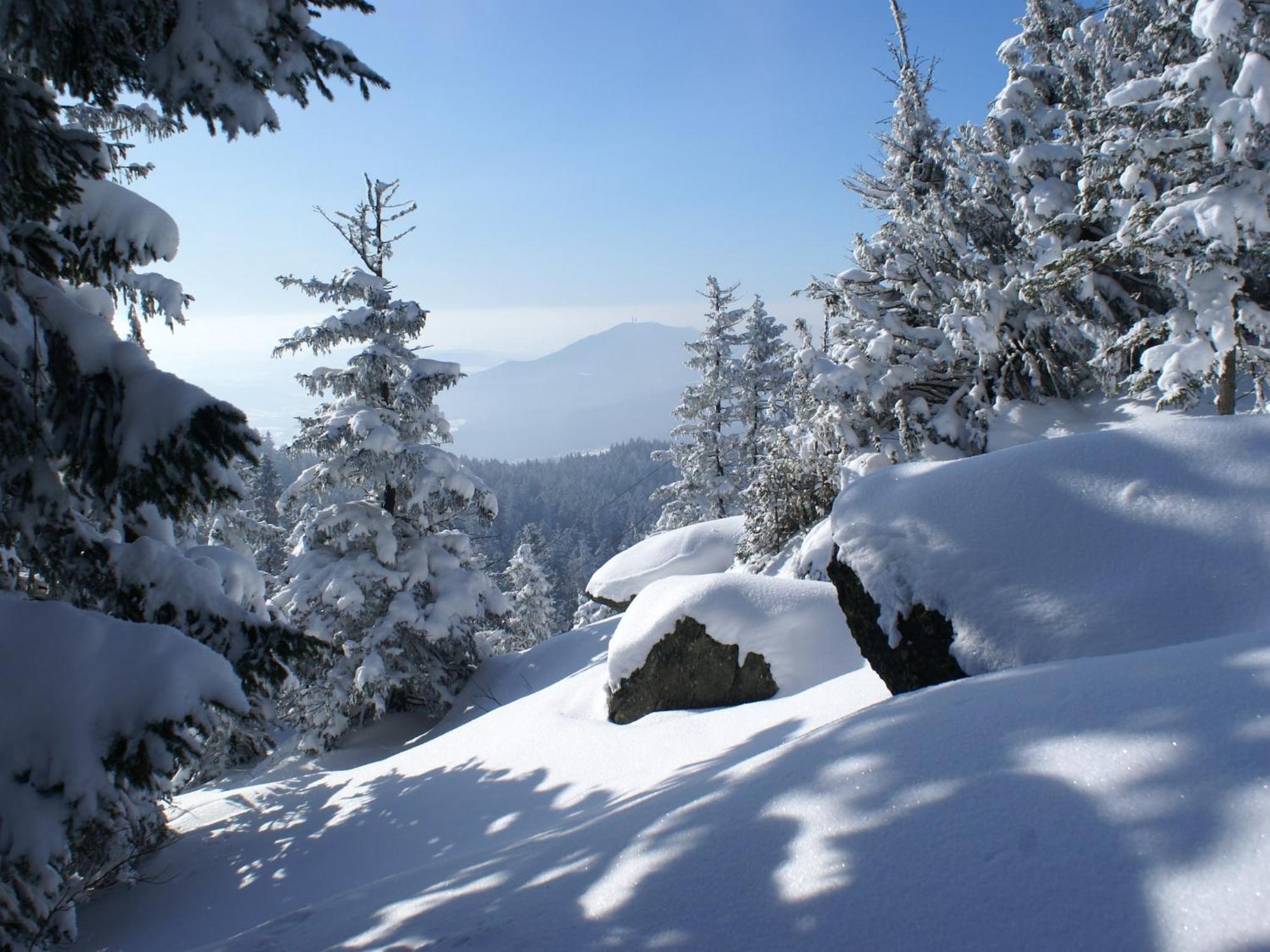 Comfort Apartment With Balcony In The Beautiful Bavarian Forest Драксельсрид Экстерьер фото