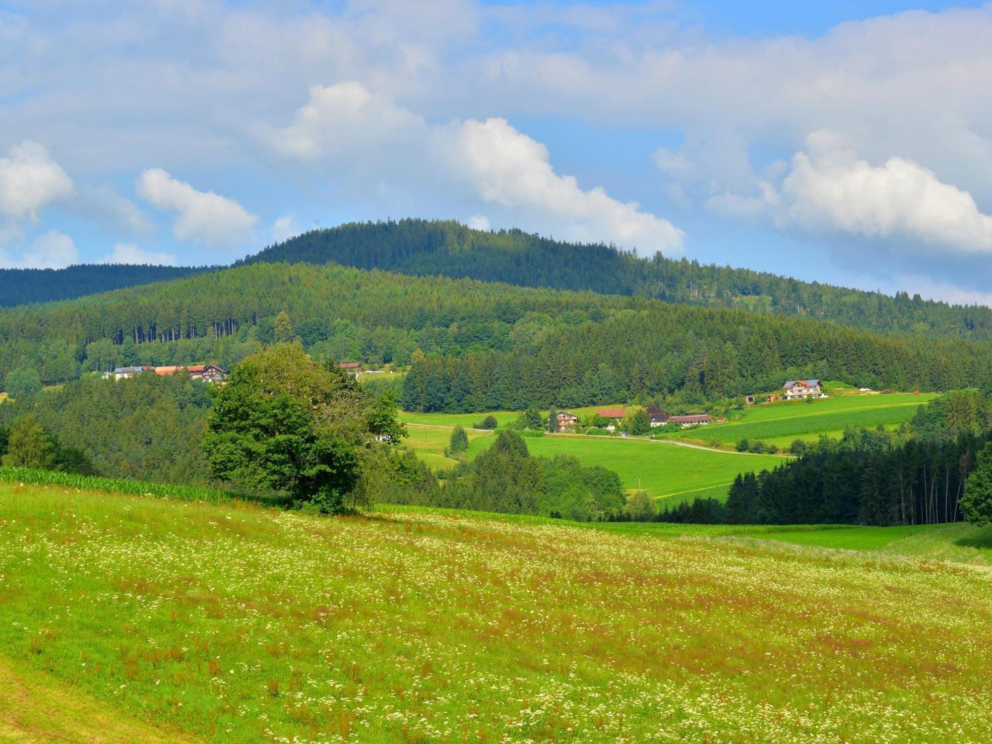 Comfort Apartment With Balcony In The Beautiful Bavarian Forest Драксельсрид Экстерьер фото