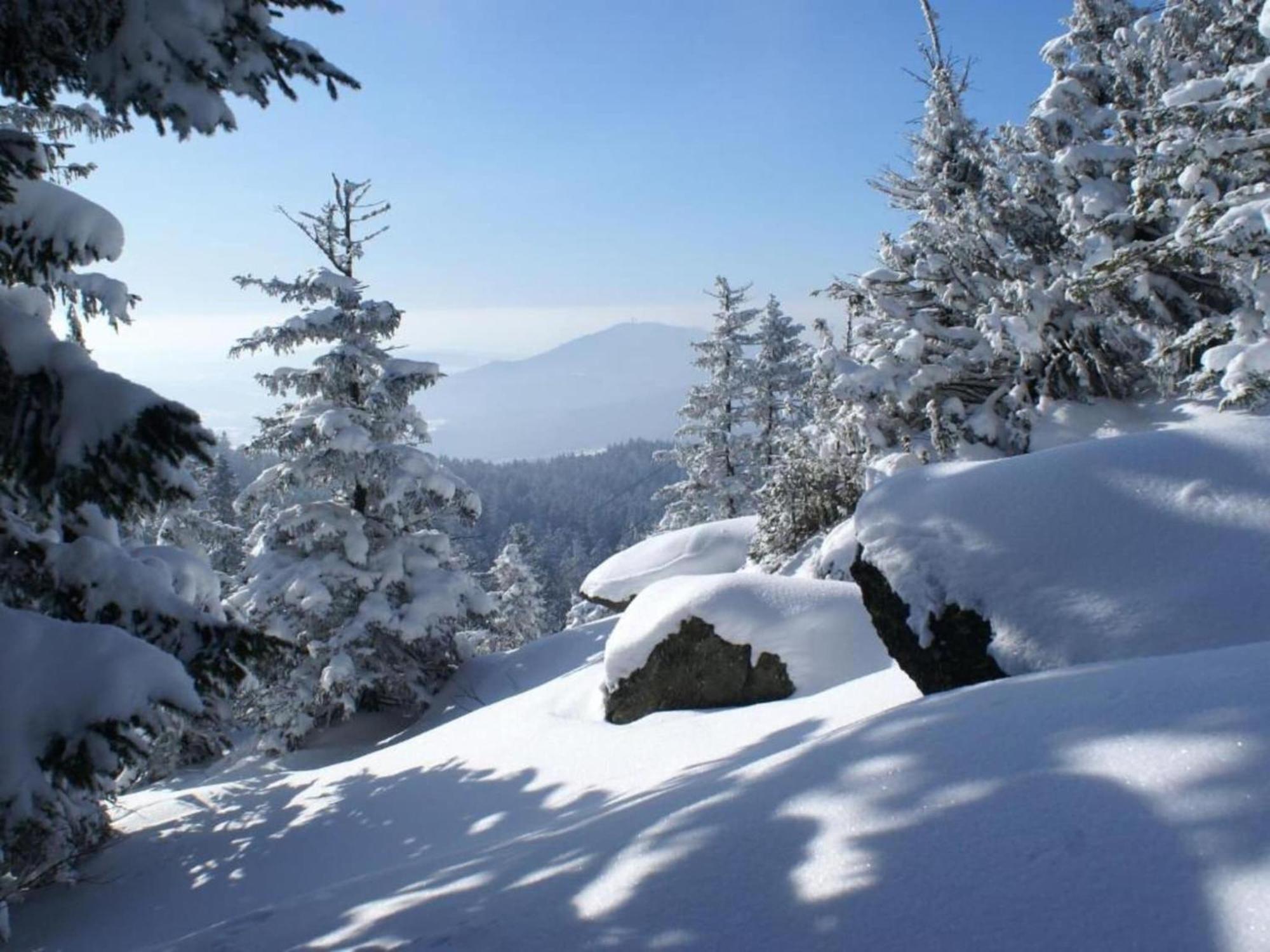 Comfort Apartment With Balcony In The Beautiful Bavarian Forest Драксельсрид Экстерьер фото